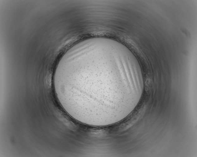 X0000114440454200911061707