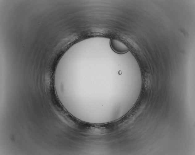 X0000114440455200911061707