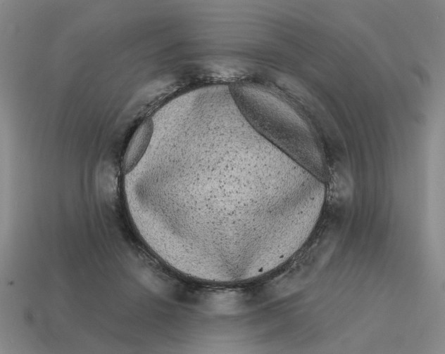 X0000114440456200911061707