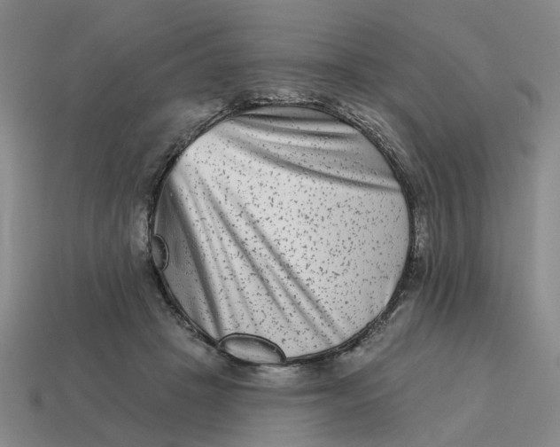 X0000114440457200911061707