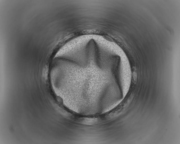 X0000114440458200911061707