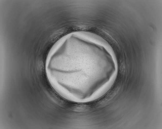 X0000114440459200911061707