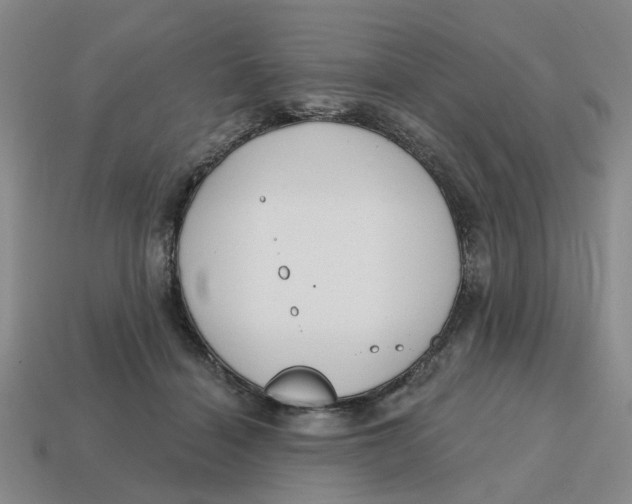 X0000114440460200911061707