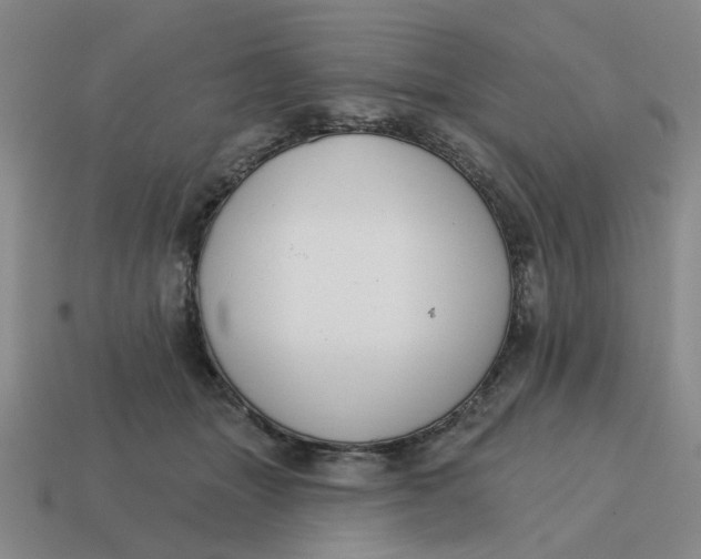 X0000114440463200911061707