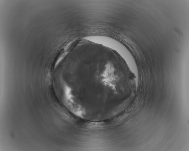 X0000114440465200911061707