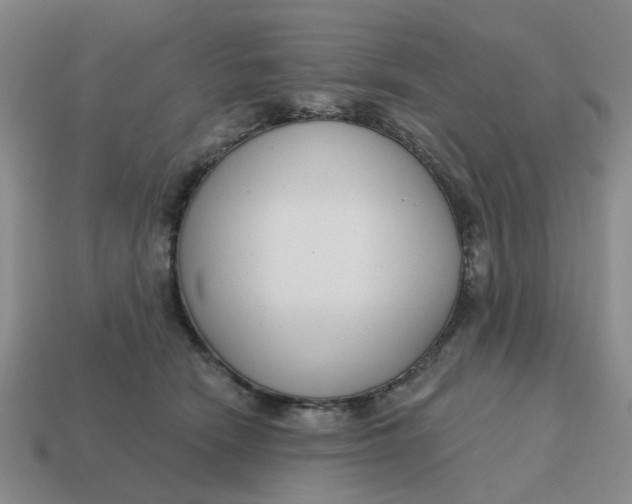 X0000114440466200911061707