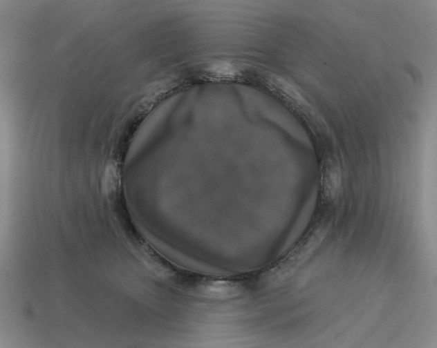 X0000114440467200911061707