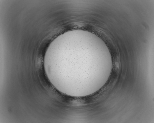 X0000114440468200911061707