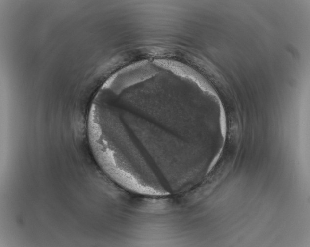 X0000114440469200911061707