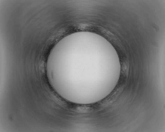 X0000114440470200911061707