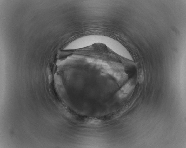 X0000114440471200911061707