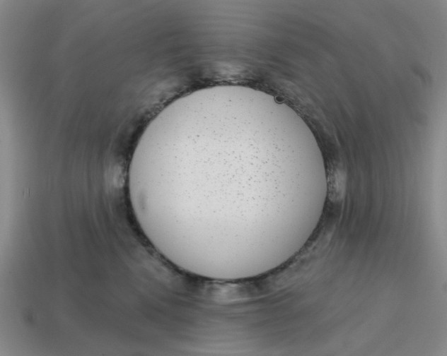 X0000114440472200911061707