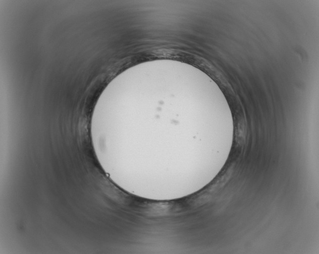 X0000114440473200911061707