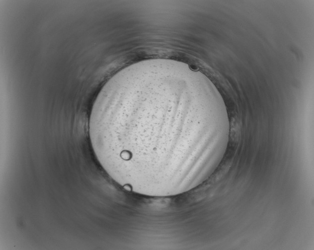 X0000114440474200911061707