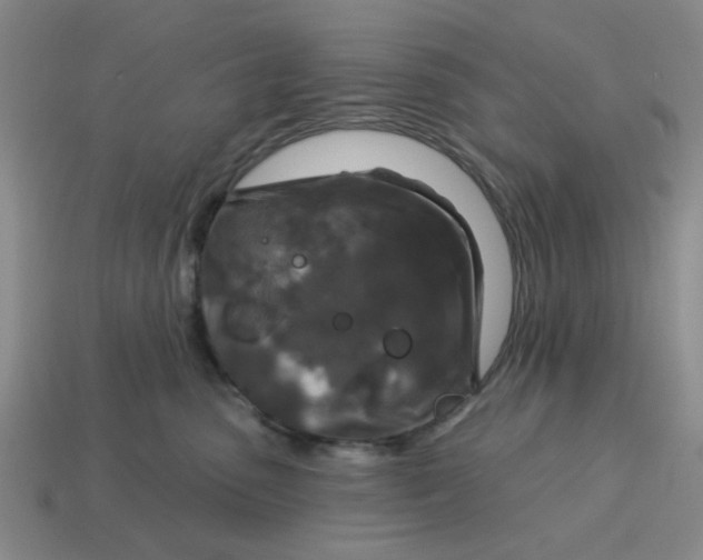 X0000114440475200911061707