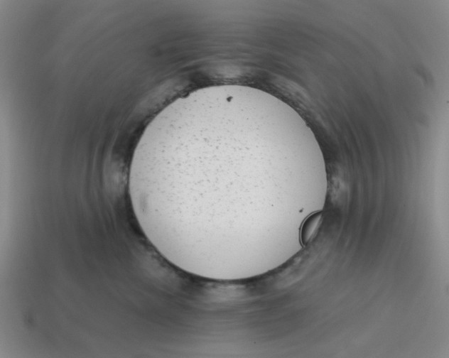 X0000114440476200911061707