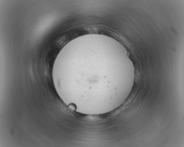 X0000114440477200911061708