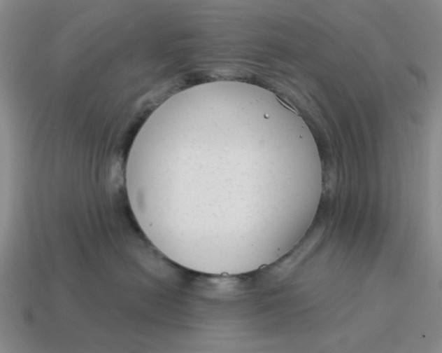 X0000114440478200911061708