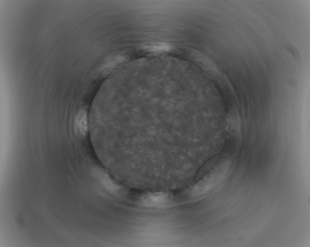 X0000114440479200911061708