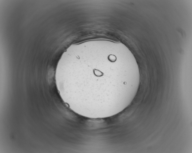 X0000114440480200911061708