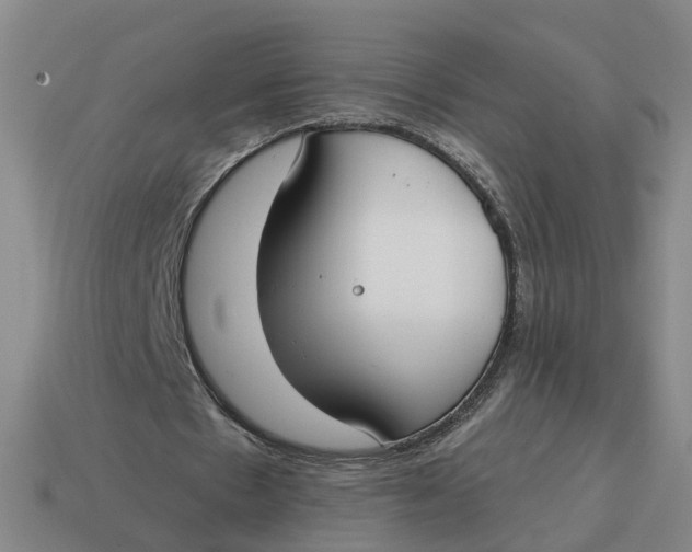 X0000114440481200911061707