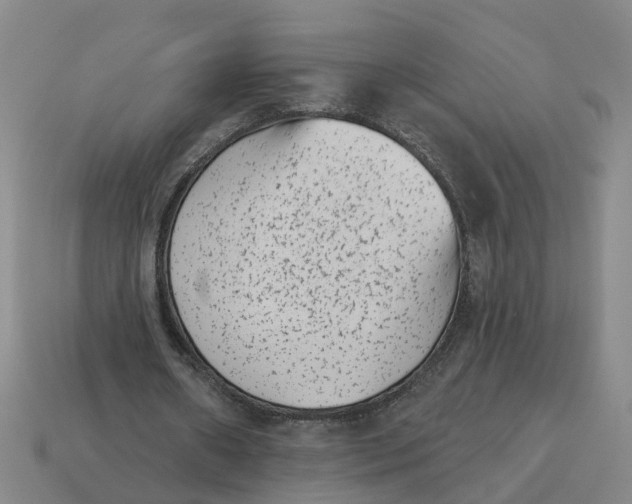 X0000114440482200911061707