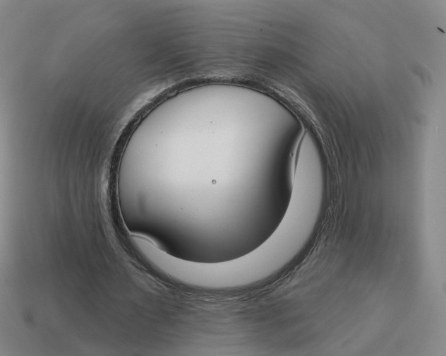 X0000114440483200911061707