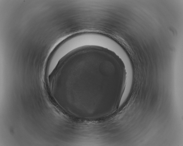 X0000114440484200911061707