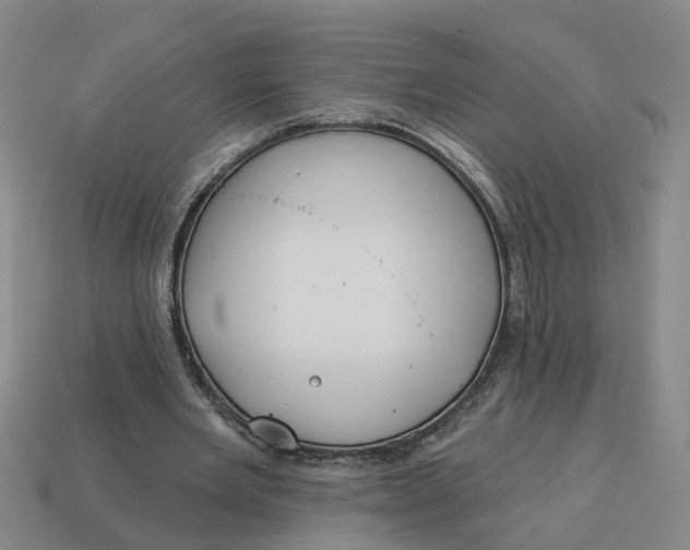 X0000114440485200911061707