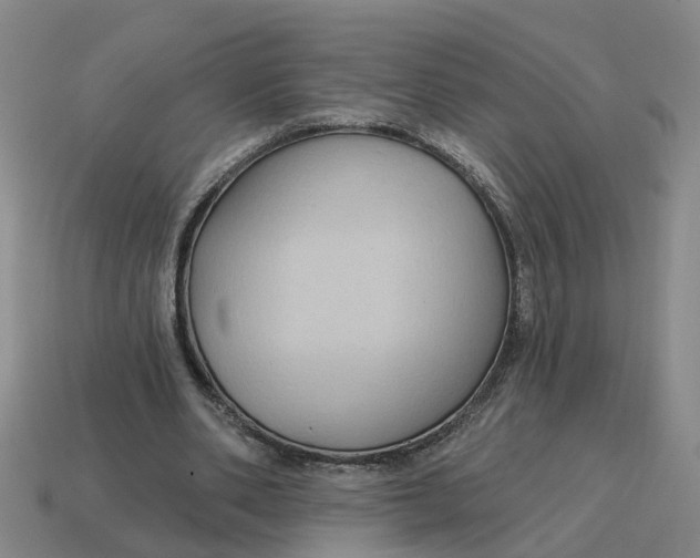 X0000114440486200911061707