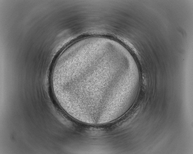 X0000114440487200911061707