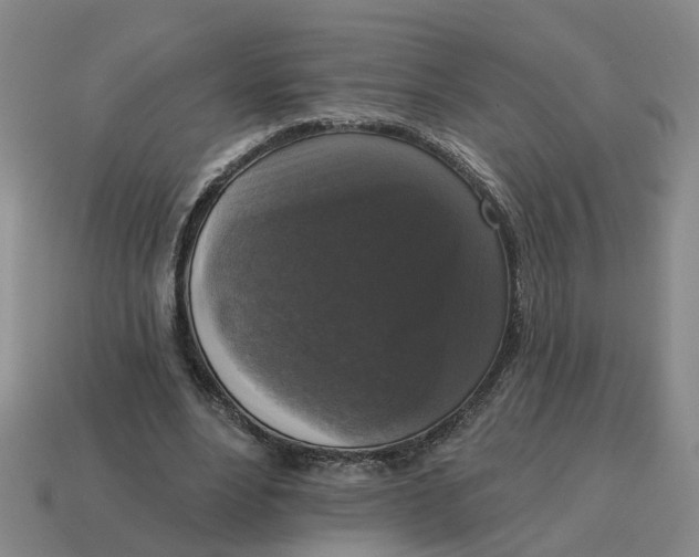 X0000114440488200911061707