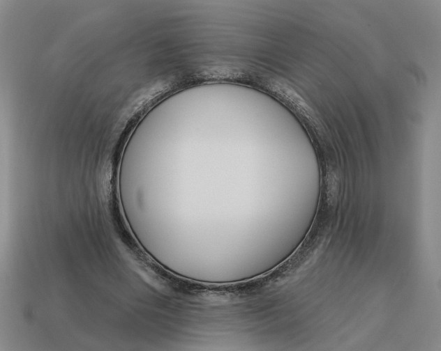 X0000114440490200911061707