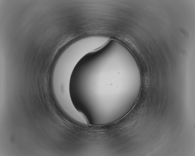 X0000114440491200911061707