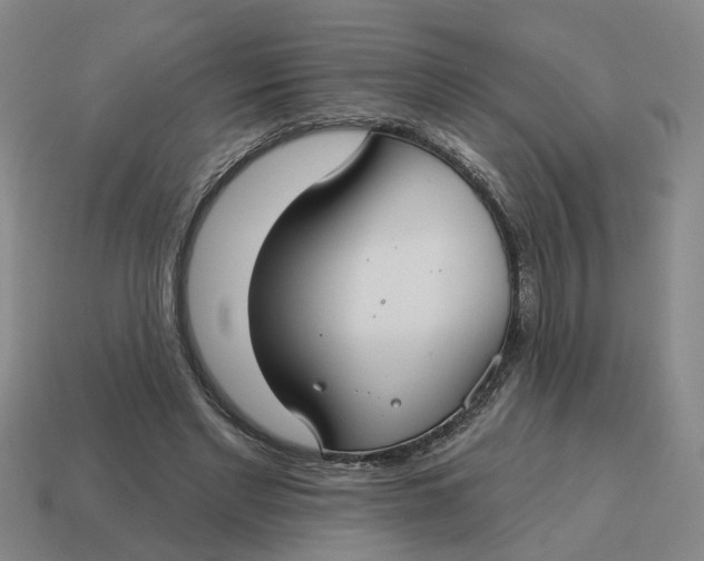 X0000114440493200911061707