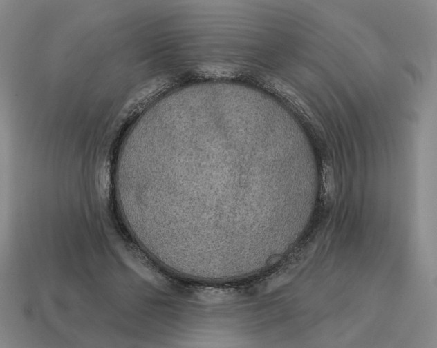 X0000114440494200911061707