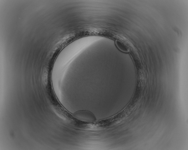 X0000114440496200911061707