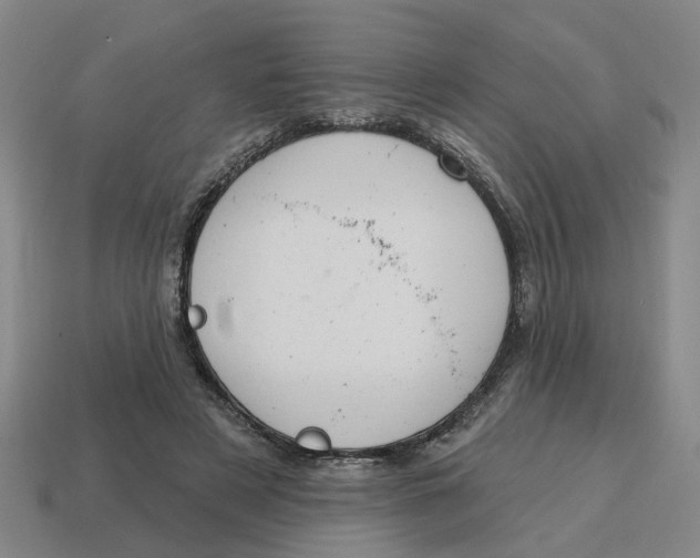 X0000114440497200911061707