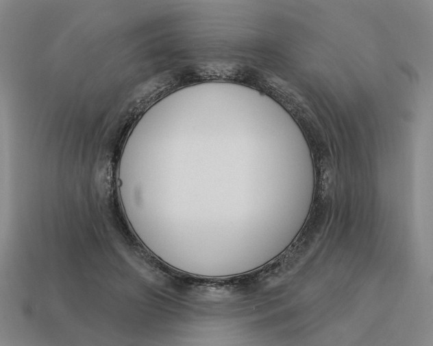 X0000114440498200911061707