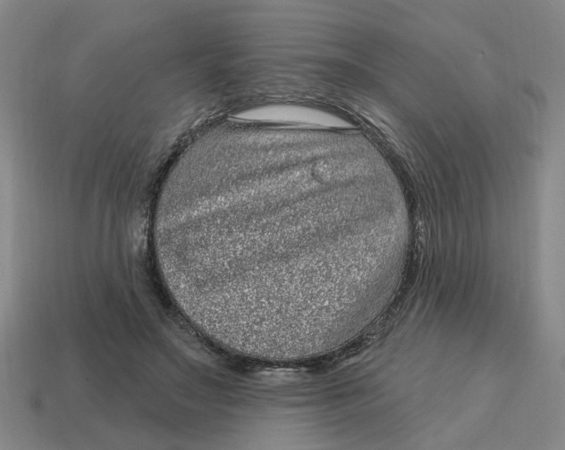 X0000114440499200911061707