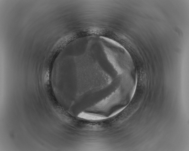 X0000114440502200911061707