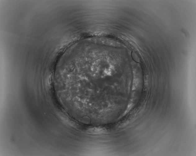 X0000114440503200911061707