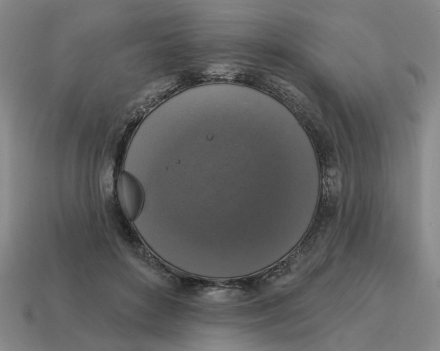 X0000114440504200911061707