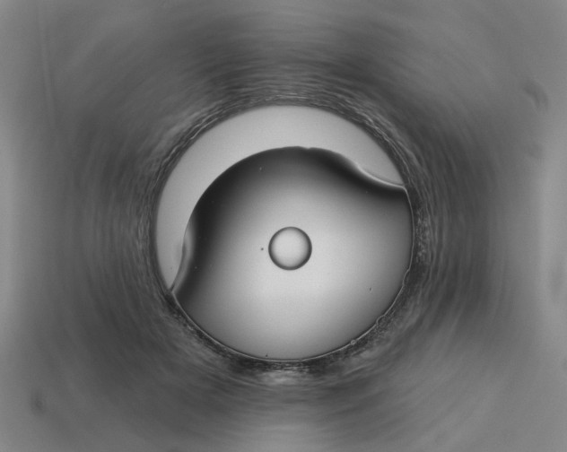 X0000114440505200911061707