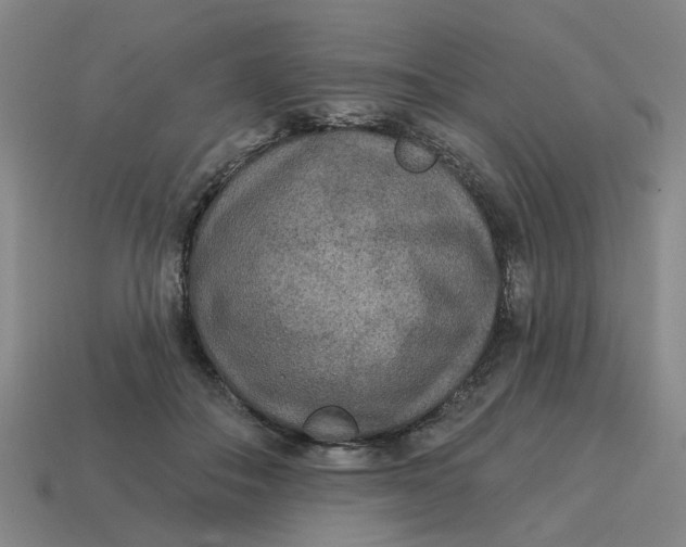 X0000114440506200911061707