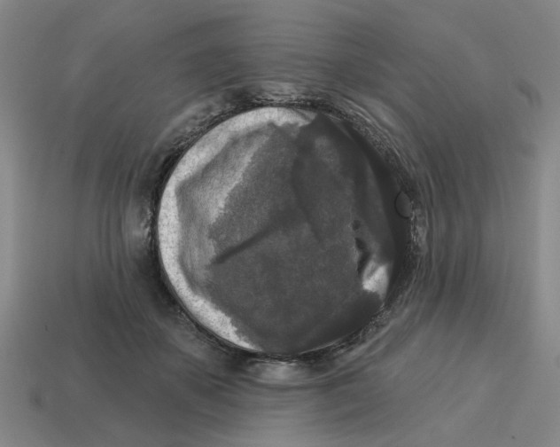 X0000114440507200911061707