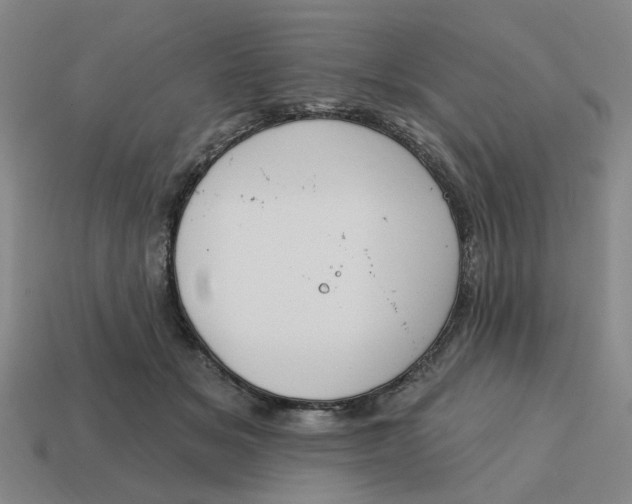 X0000114440509200911061707