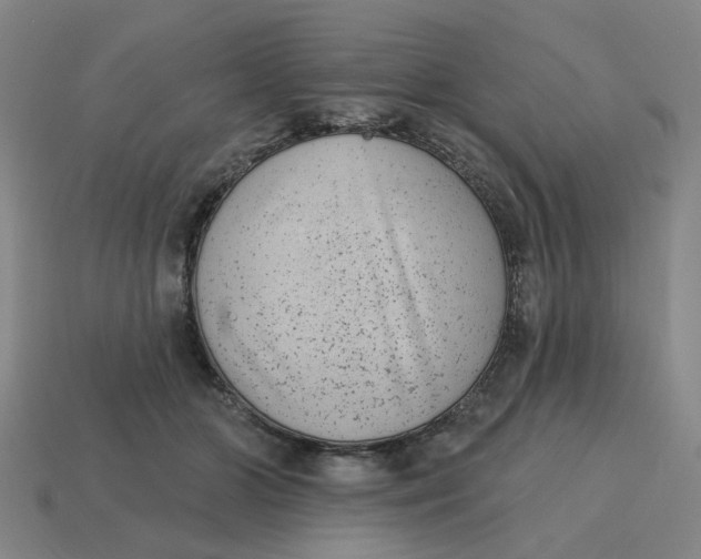 X0000114440510200911061707