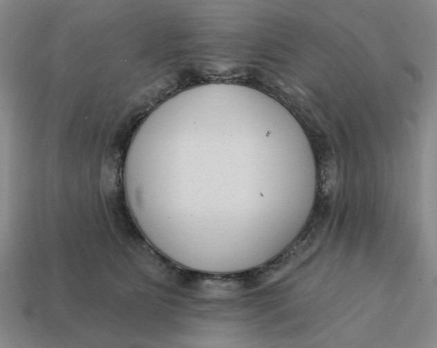 X0000114440515200911061706