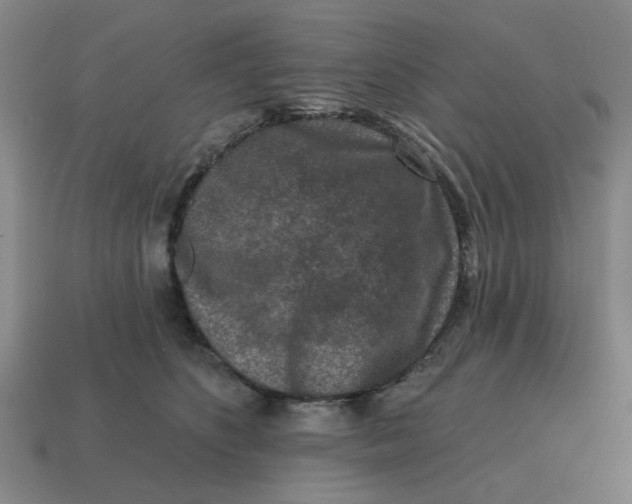 X0000114440516200911061706